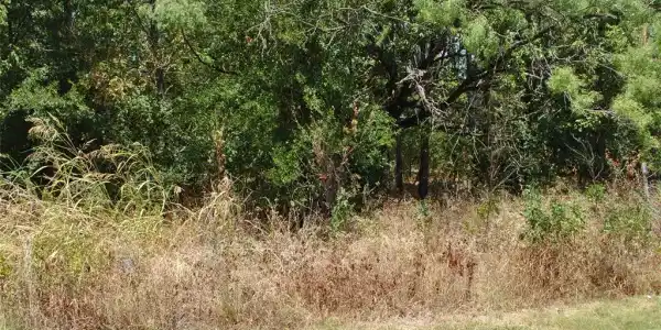 TBD FM 2859 (Lot 32)