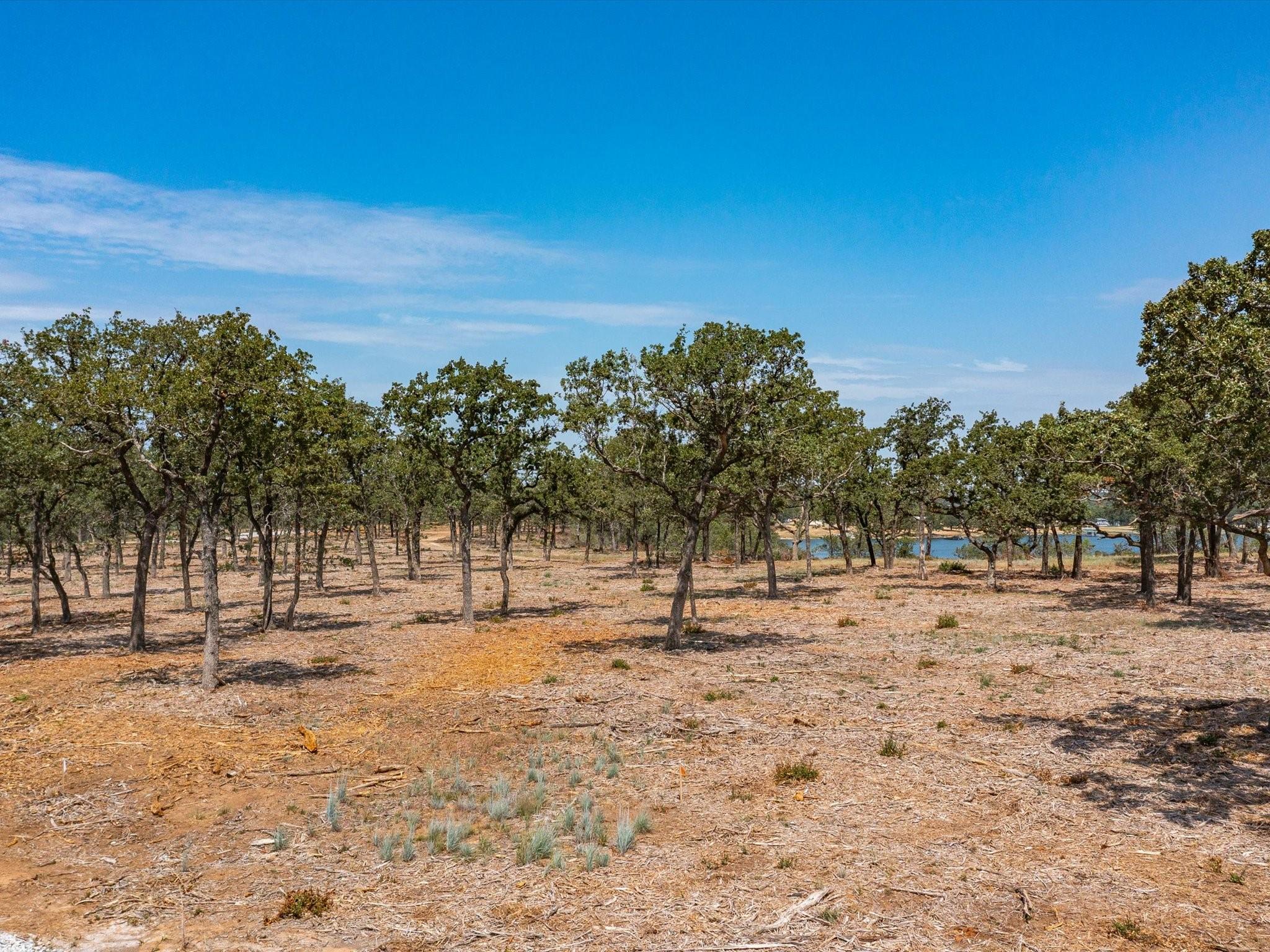 Image 3 Image 3