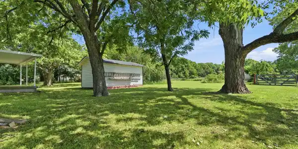 Image 4 Image 4