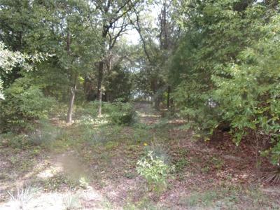 118 Mimosa Drive