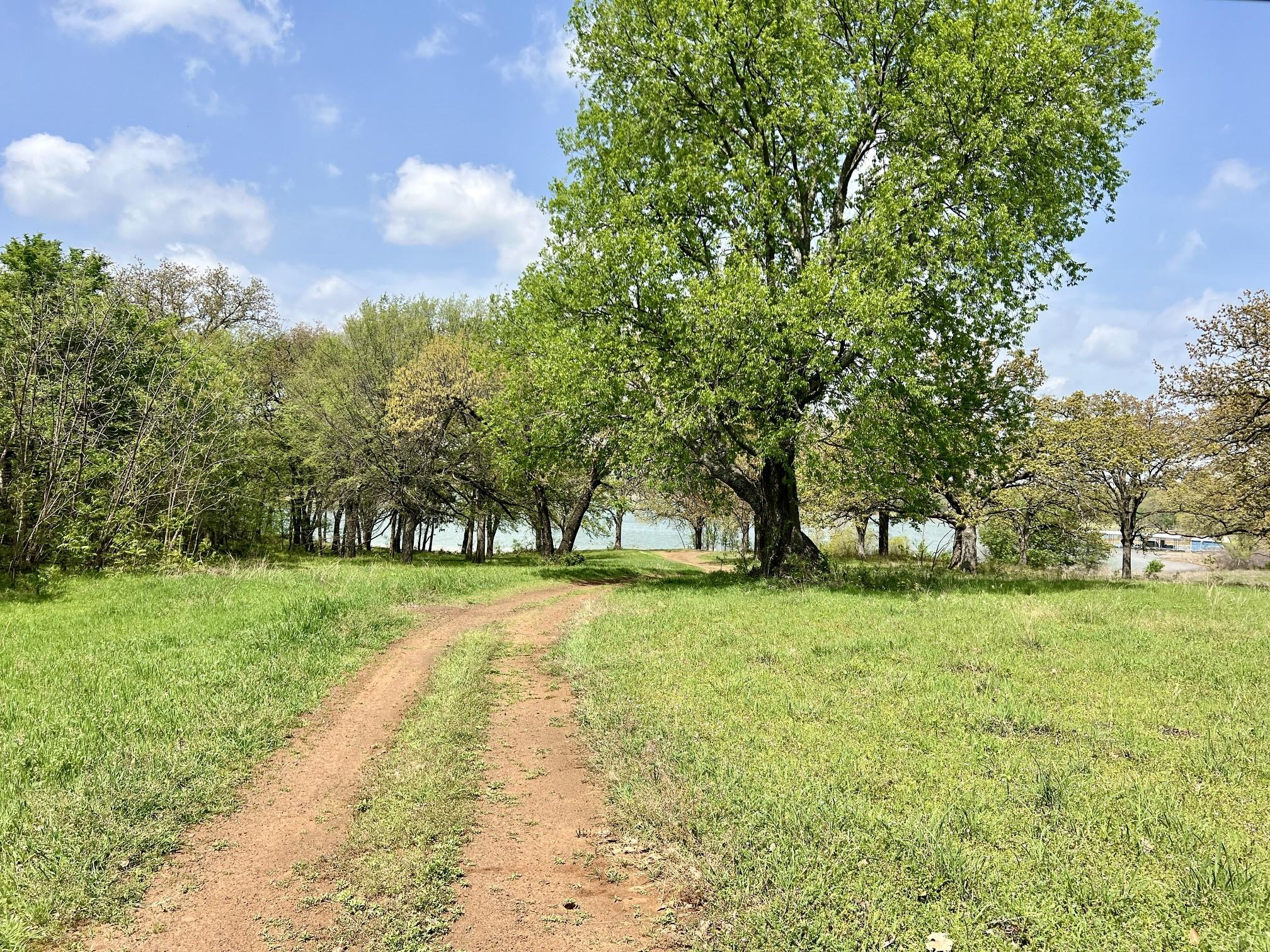 Image 3 Image 3