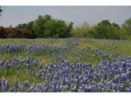 9212 Hidden Lakes Court Lot 672