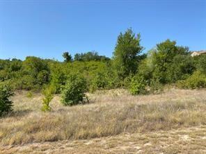Lot 168 Canyon Wren N