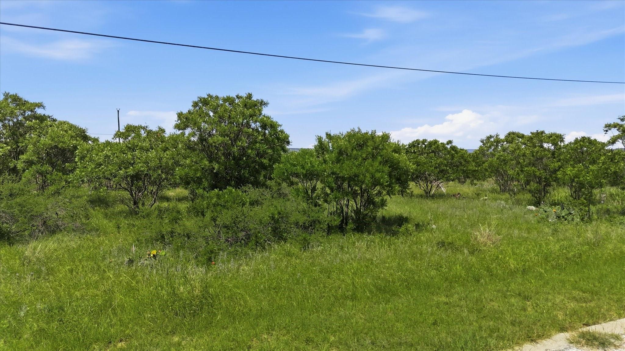 Image 3 Image 3
