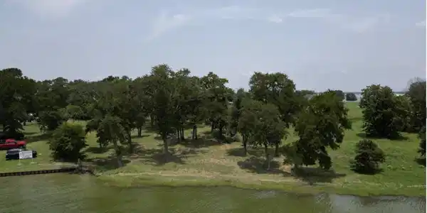Image 4 Image 4
