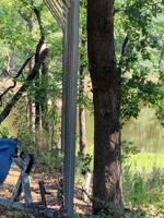 138 Sweetgum Trail