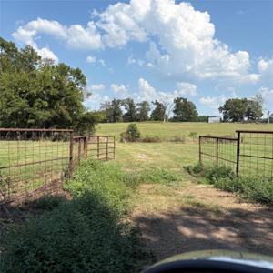 TBD 35.394ac CR1226 County Road 1226