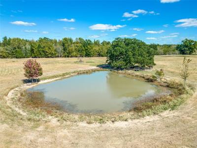 TBD 21 acres County Road 2428