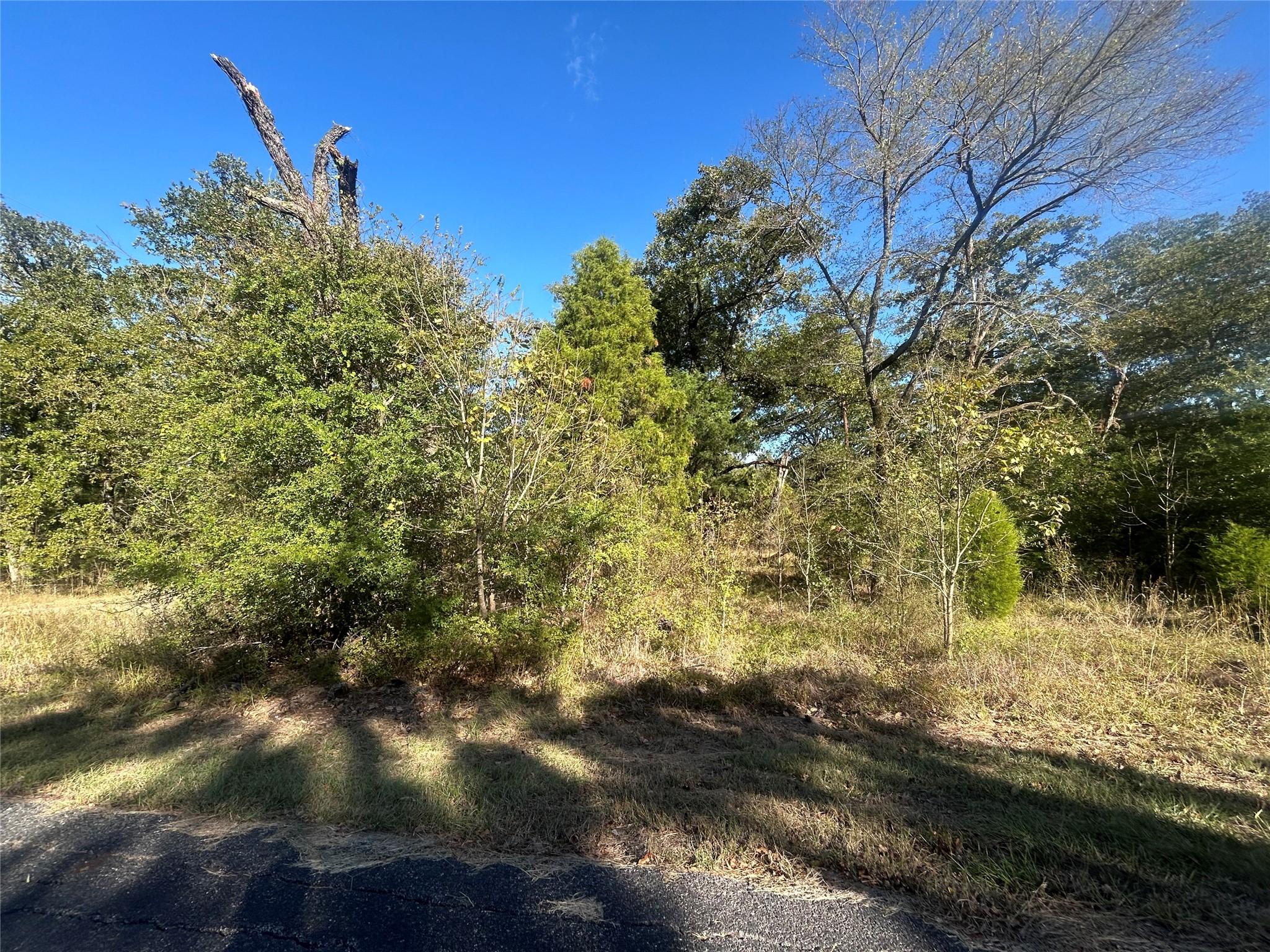 Image 1 Image 1