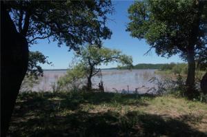 279 Cinnamon Teal Lot 928