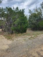 910 Guadalupe River Drive