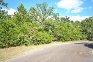 Elm Drive