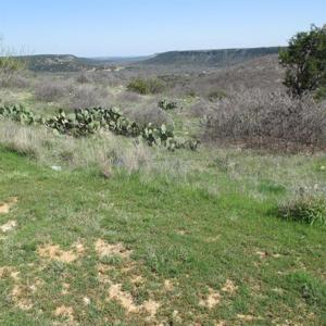 Lot 221-R Oak Tree Drive