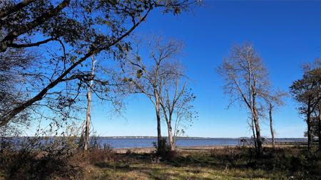 8455 Southern Shore Court