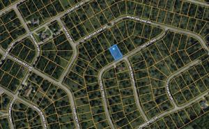 43161 Thistle Trail