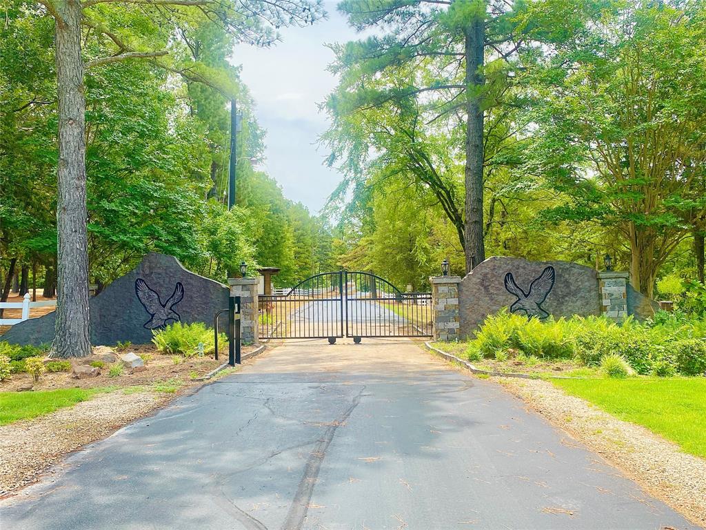 Lot 2 Eagle Point Drive, Mount Vernon, TX lhrmls01551995