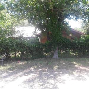 221 Creek Drive