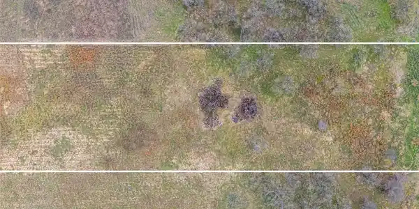 Image 4 Image 4
