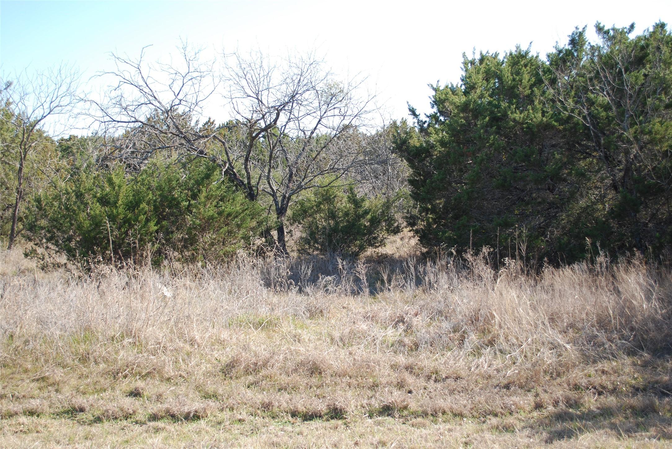 Image 3 Image 3