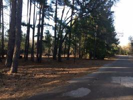 Lot 43 Lot 43 CHAPPARAL Run