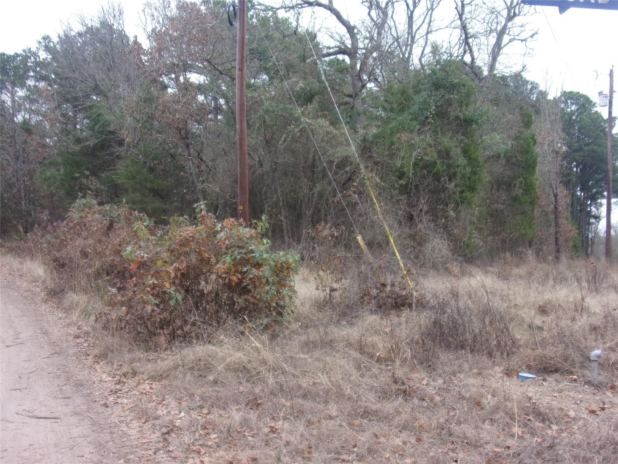 Image 1 Image 1