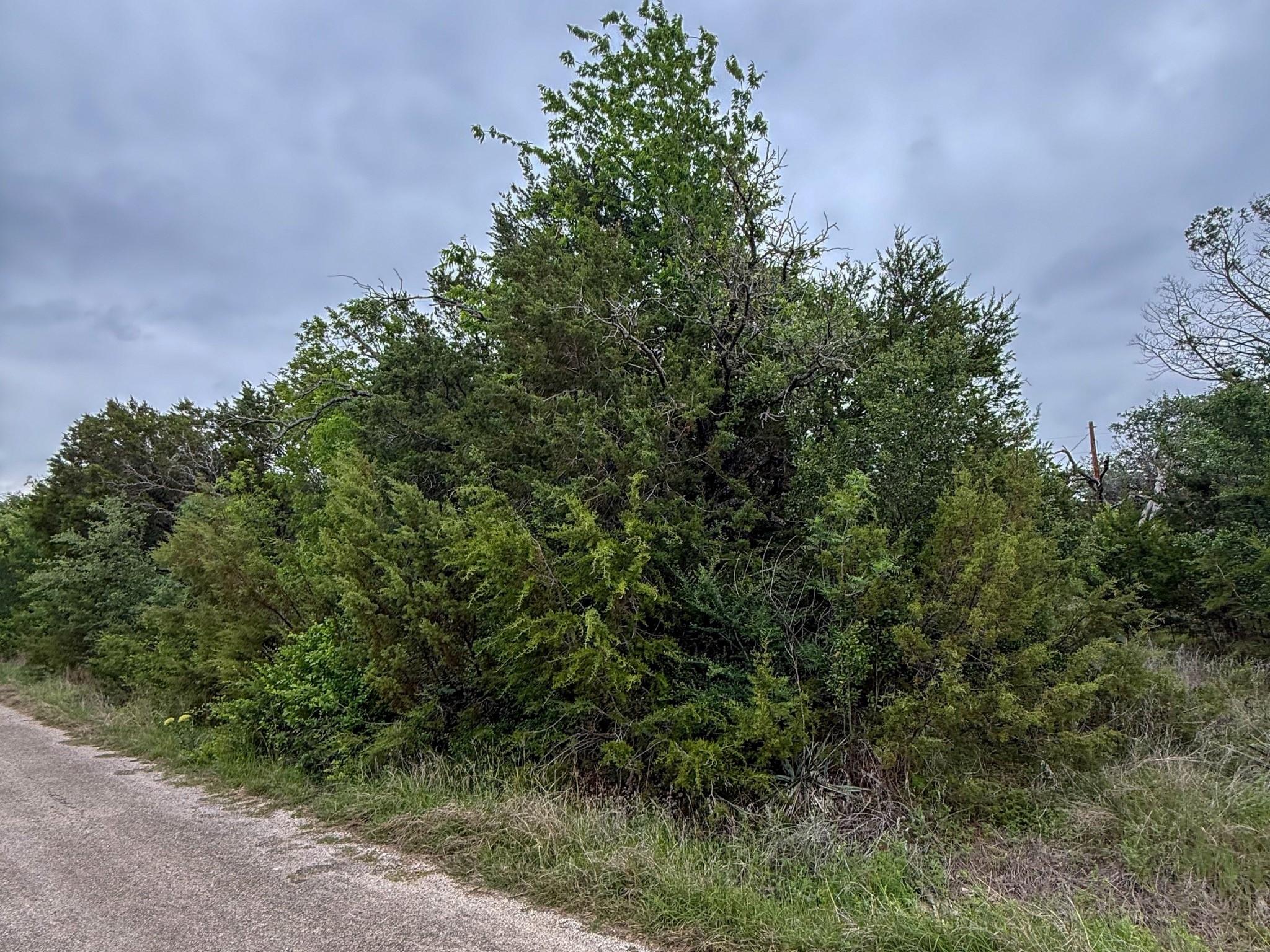 Image 3 Image 3