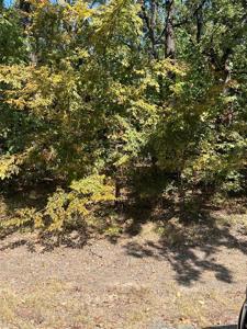 222 Chillacothe Trail