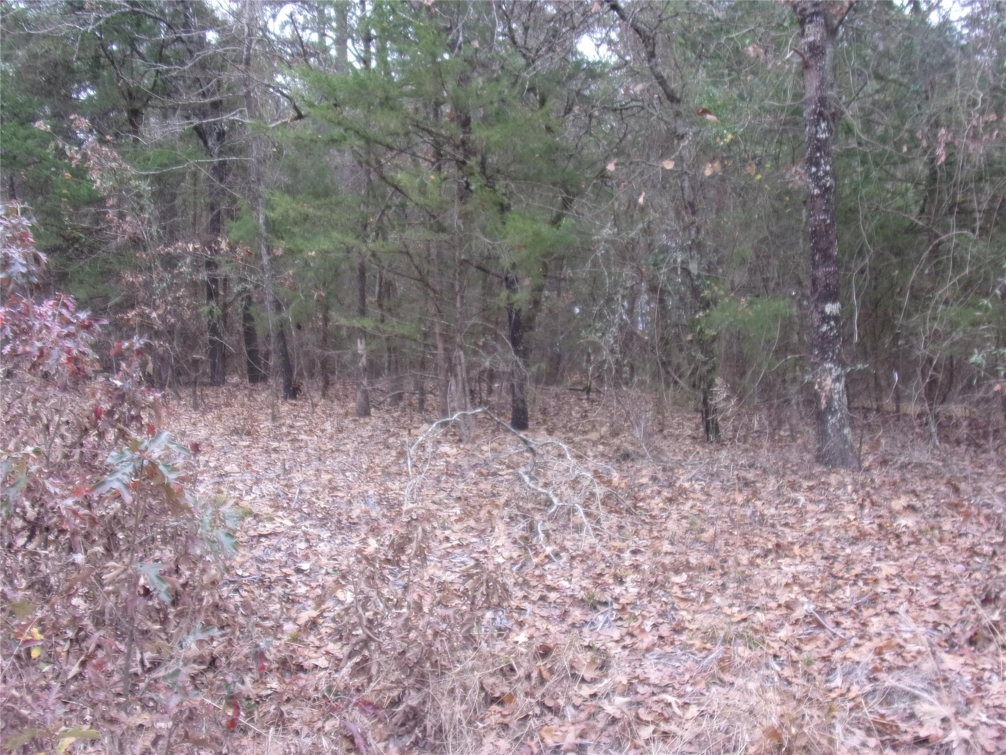Image 4 Image 4