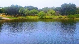 1331 The Ranch Road Lot E-16