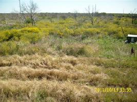 Lot 41 Prairie Falcon Lot 41
