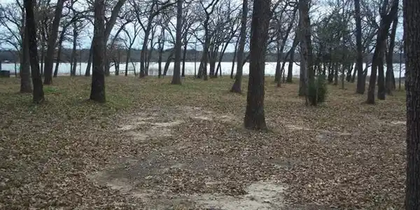 SE 3135 Lot 44
