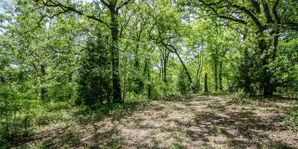Lot 38 L 38 Pelican Point