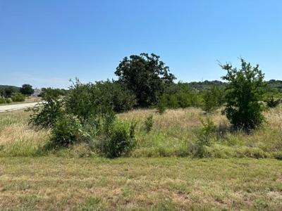 Lot 975 Cinnamon Teal