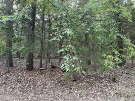 Lot 24 Whispering Pine Trail S