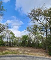 7207 Pedernales N