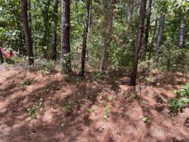 Lot 454 San Saba