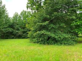 Lot 42 An County Road 3009