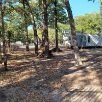 1382 County Road 3623