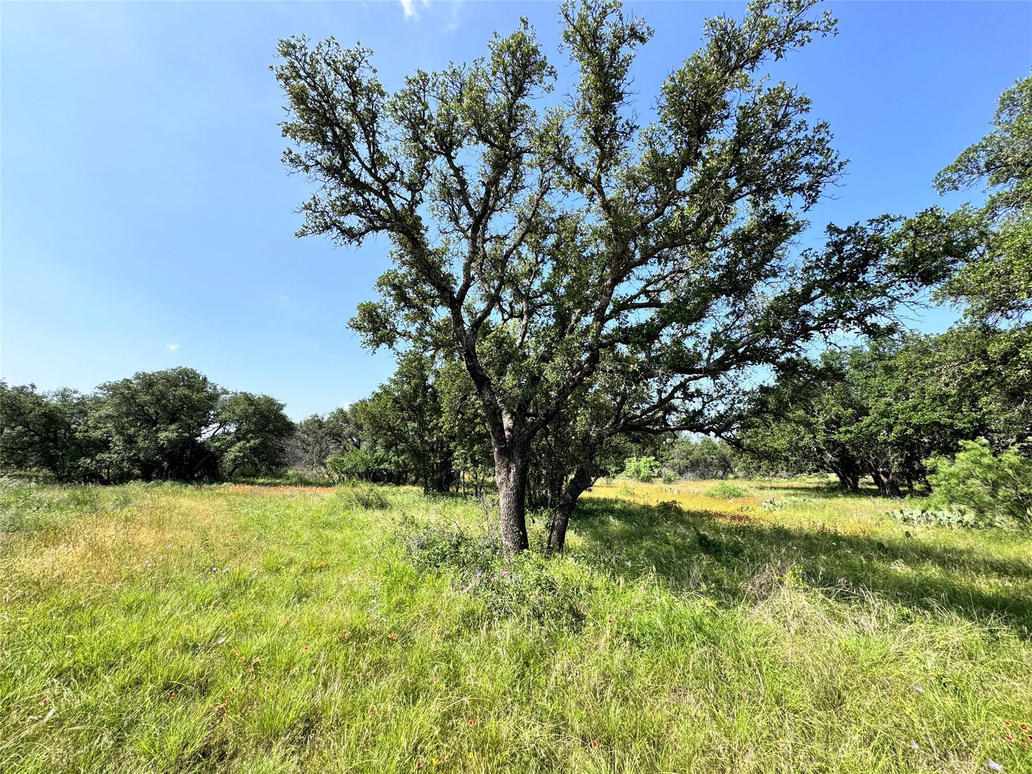 Image 3 Image 3