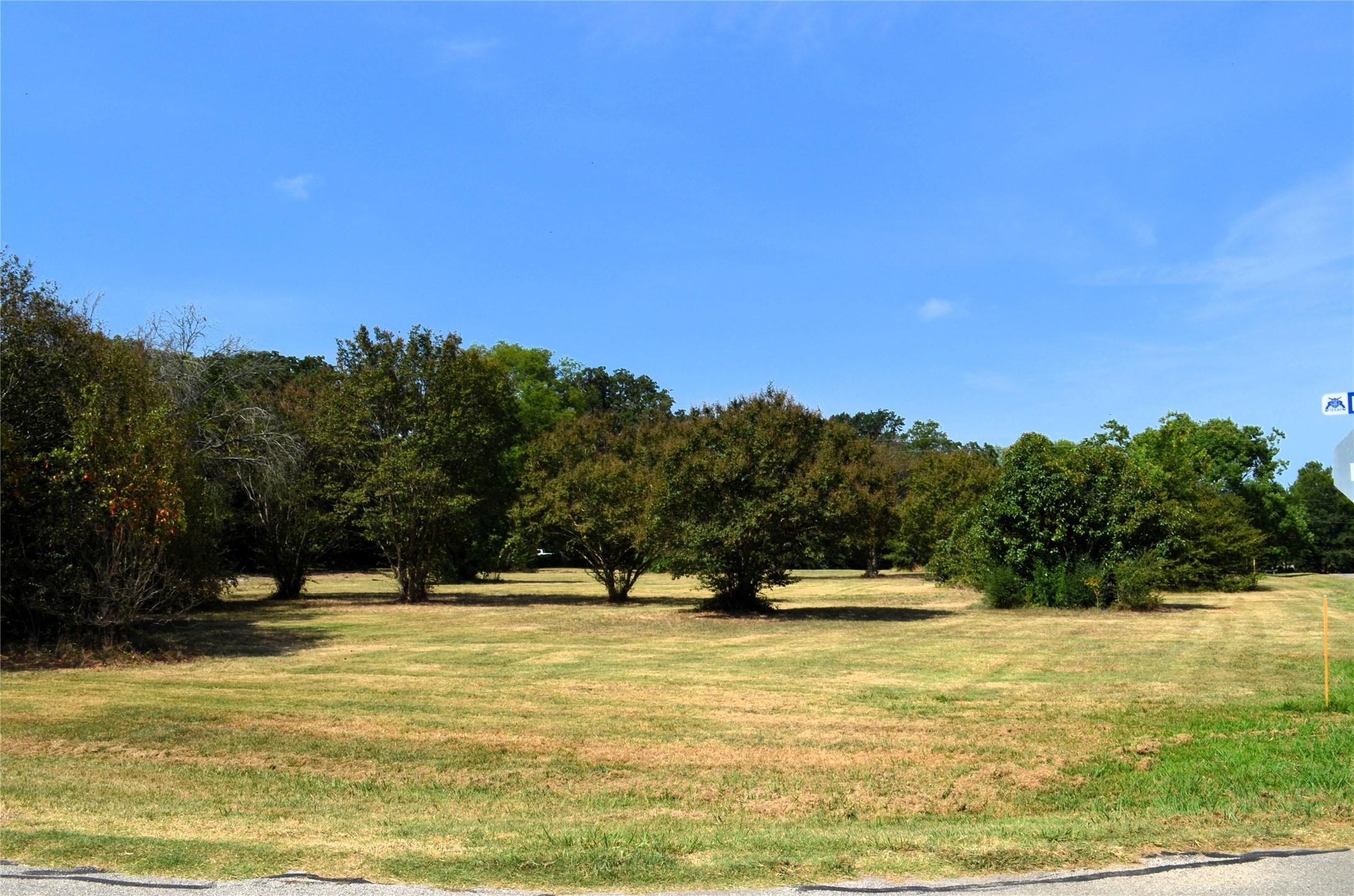 Image 4 Image 4