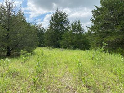 00 Rs County Road 1605