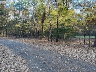 Lot 03 County Rd 2450