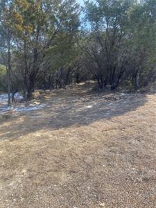 3217 Lakeside Drive