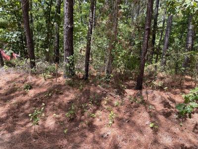 Lot 454 San Saba