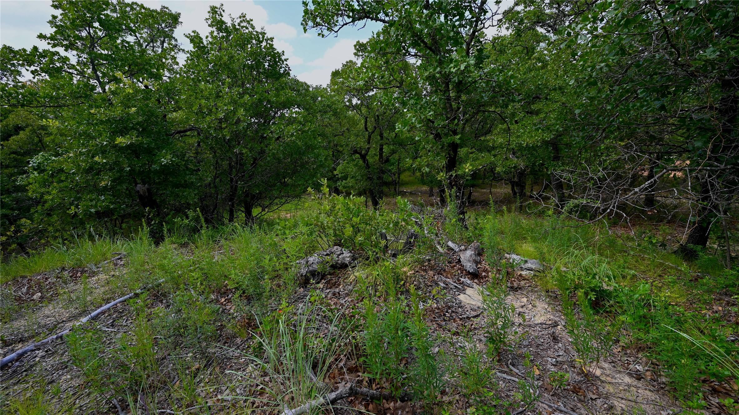 Image 4 Image 4