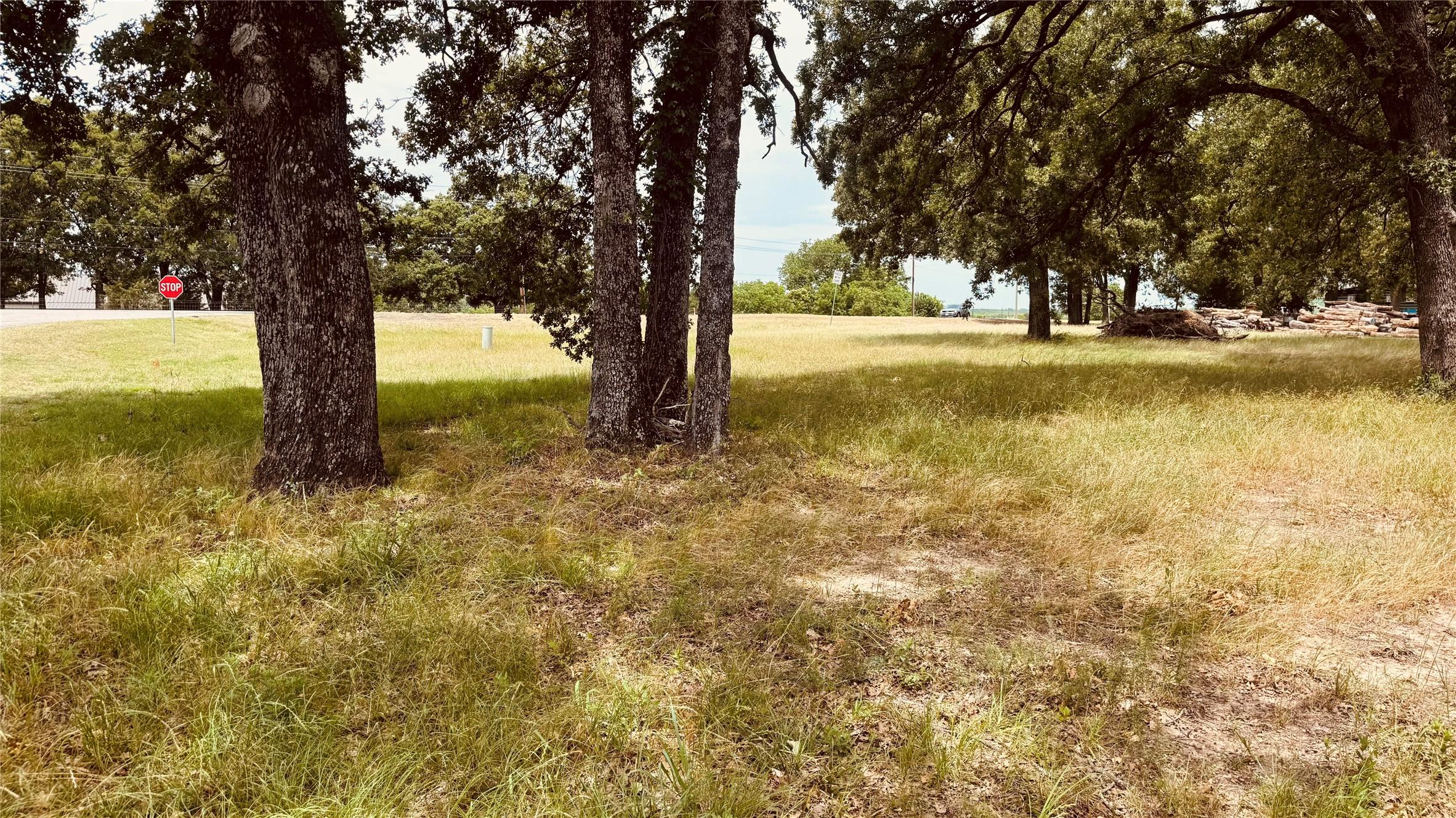 Image 1 Image 1
