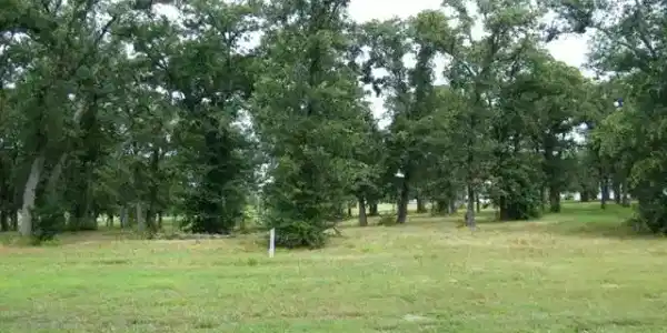 Paradise Drive Lot 17