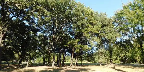 Lot 66 L 66 Sombrilla Lane