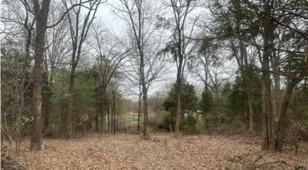 144 Buffalo Springs Road