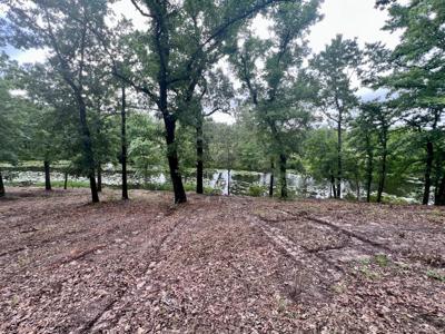 Lot 14 County Road 4801